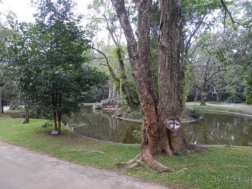 Шри-Ланка - Сигирия