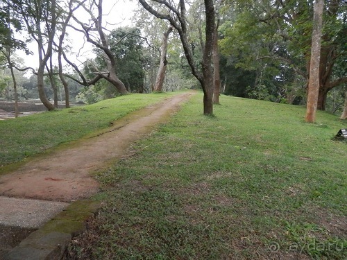 Шри-Ланка - Сигирия