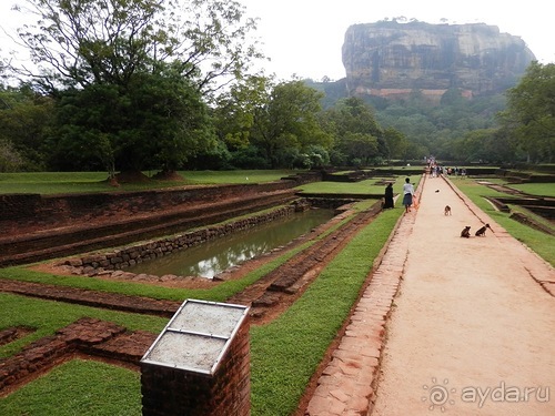 Шри-Ланка - Сигирия