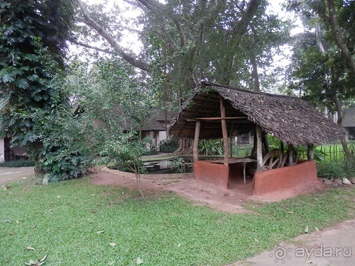 Шри-Ланка - Сигирия