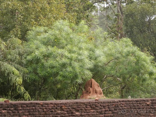 Шри-Ланка - Сигирия