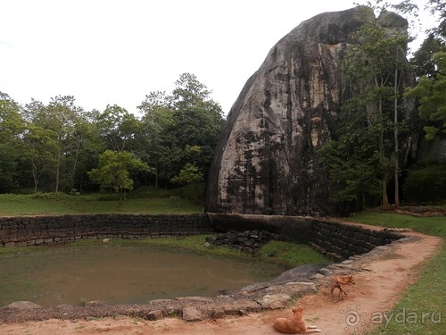 Шри-Ланка - Сигирия