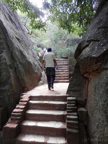 Шри-Ланка - Сигирия