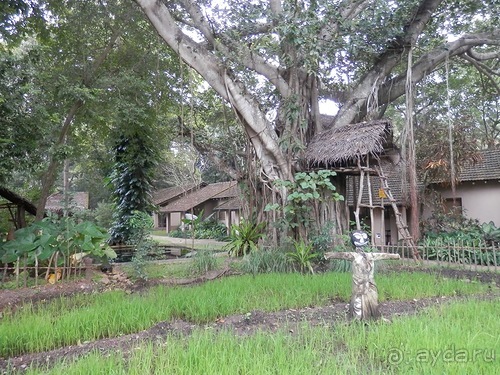 Шри-Ланка - Сигирия