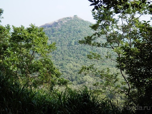 Шри-Ланка - Сигирия