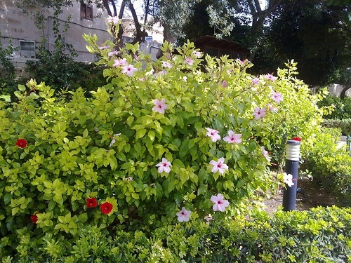 Мальта продолжается...