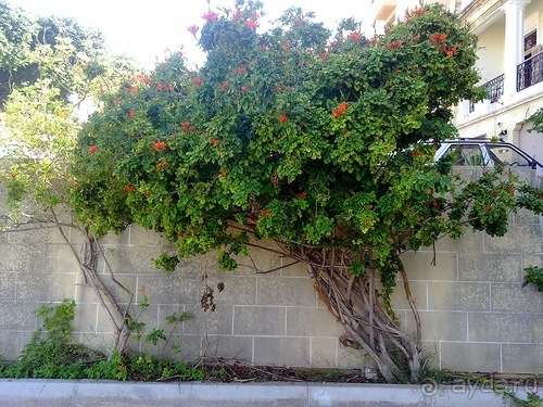 Мальта продолжается...