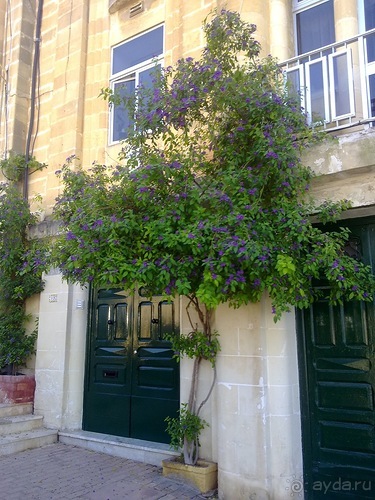 Мальта продолжается...