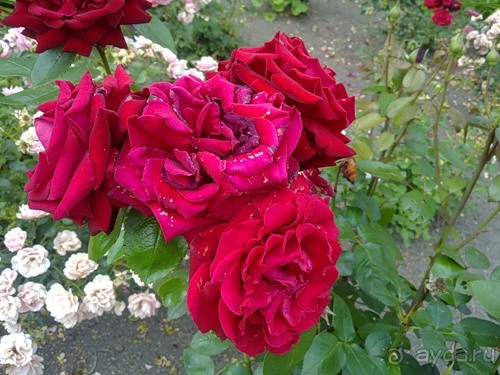 Стокгольм, день второй