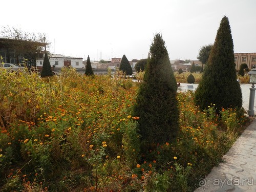 Хива, день последний. До свиданья, Узбекистан!