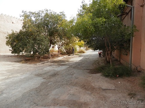 Хива, день последний. До свиданья, Узбекистан!