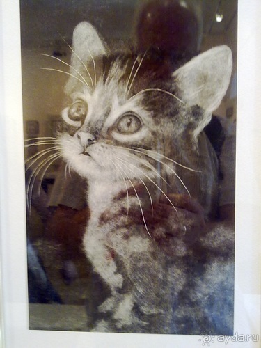 В Киев на выходные