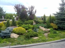 В Киев на выходные