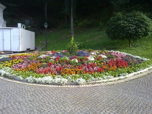 В Киев на выходные