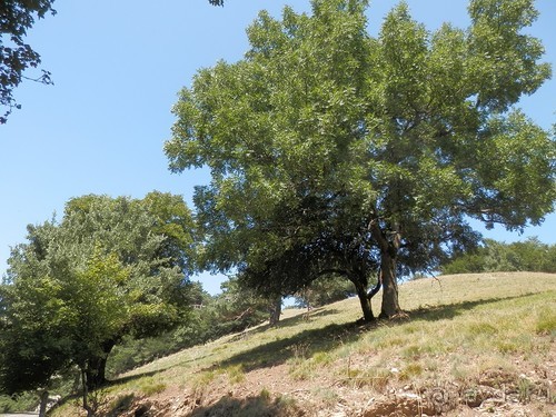 Ялта - по местам царской охоты