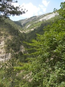 Ялта - по местам царской охоты