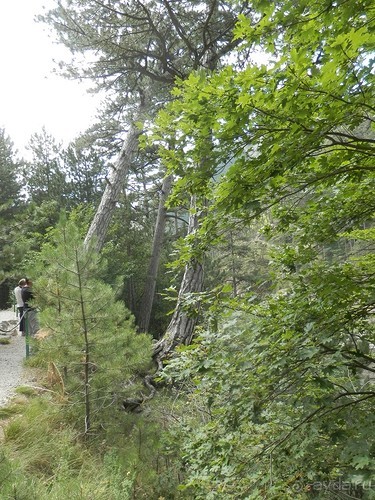 Ялта - по местам царской охоты