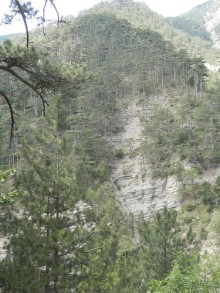 Ялта - по местам царской охоты