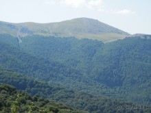 Ялта - по местам царской охоты