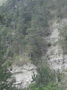 Ялта - по местам царской охоты