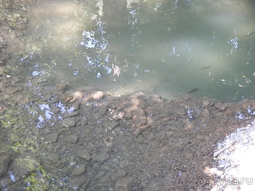 Ялта - по местам царской охоты