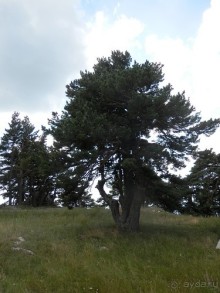 Ялта - по местам царской охоты