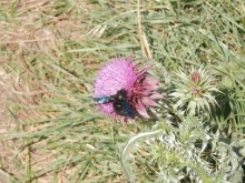 Ялта - по местам царской охоты