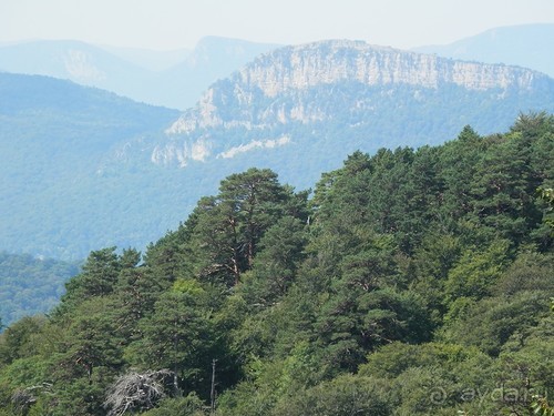 Ялта - по местам царской охоты