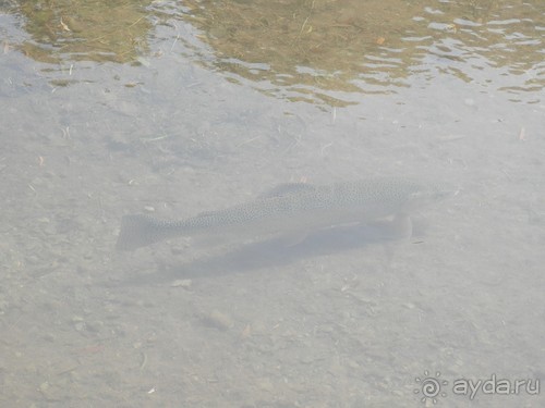 Ялта - по местам царской охоты