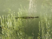 Ялта - по местам царской охоты