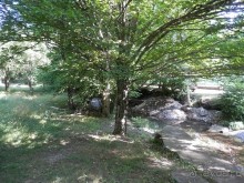 Ялта - по местам царской охоты