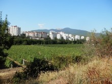 Ялта - по местам царской охоты