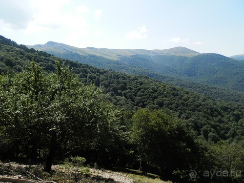 Ялта - по местам царской охоты