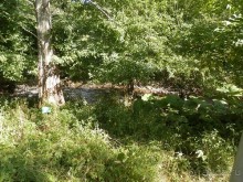 Ялта - по местам царской охоты