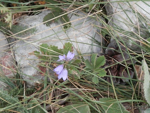 Ялта - по местам царской охоты
