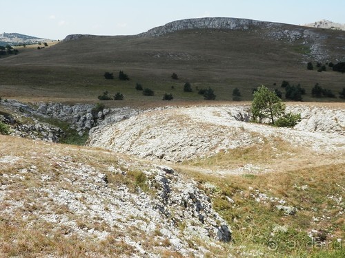 Ялта - по местам царской охоты