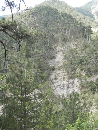 Ялта - по местам царской охоты