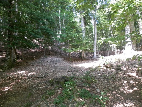 Ялта - по местам царской охоты