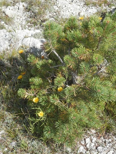 Ялта - по местам царской охоты