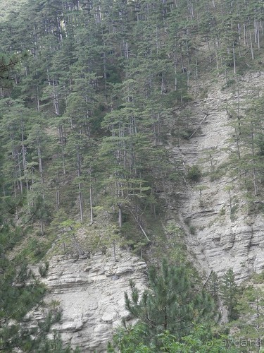 Ялта - по местам царской охоты