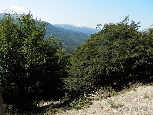 Ялта - по местам царской охоты