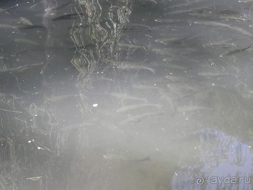 Ялта - по местам царской охоты