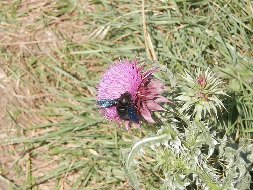 Ялта - по местам царской охоты