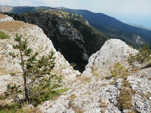 Ялта - по местам царской охоты