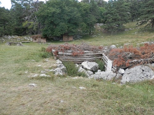 Ялта - по местам царской охоты