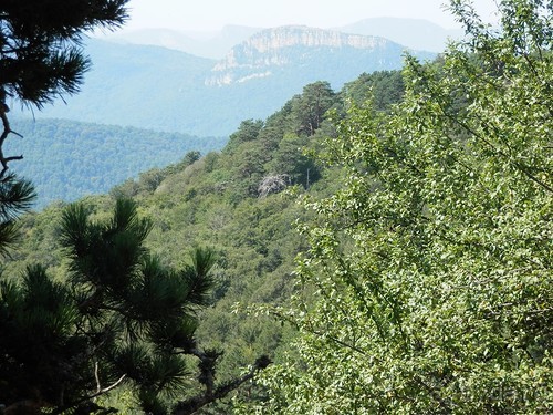 Ялта - по местам царской охоты