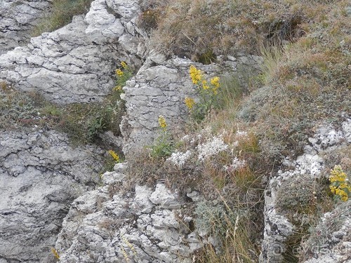 Ялта - по местам царской охоты