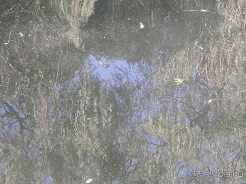 Ялта - по местам царской охоты