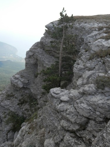 Ялта - по местам царской охоты