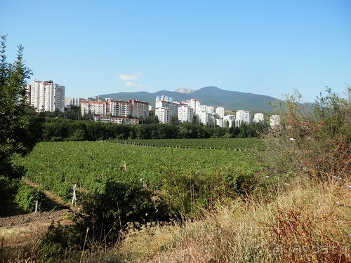 Ялта - по местам царской охоты